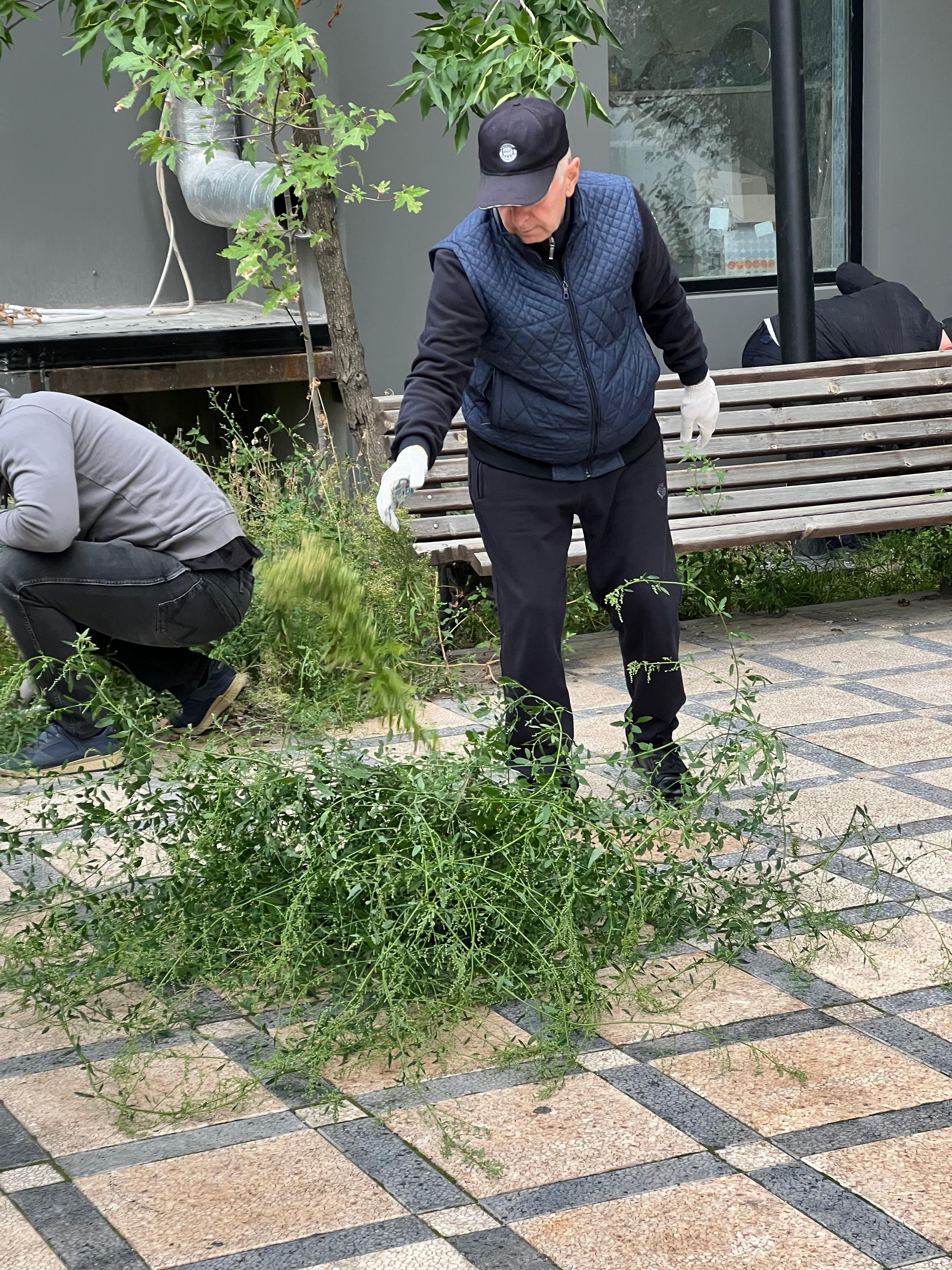 Зеленая Россия!